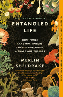 Entangled Life cover