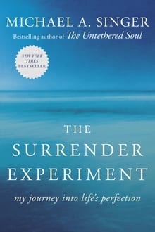 The Surrender Experiment: My Journey into Life's Perfection cover