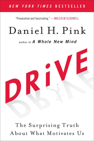 Drive: The Surprising Truth About What Motivates Us cover