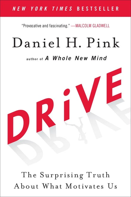 Drive: The Surprising Truth About What Motivates Us cover