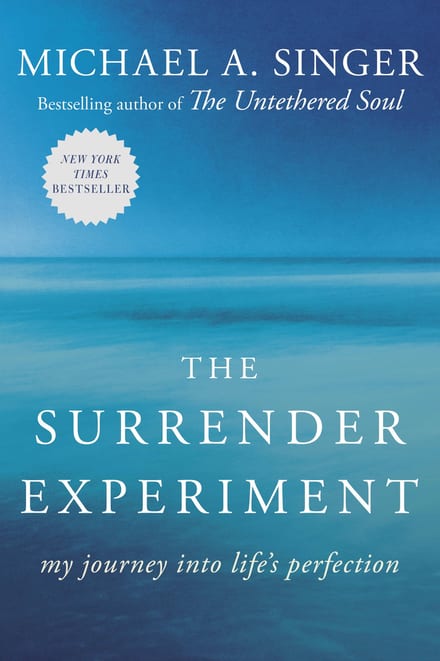The Surrender Experiment: My Journey into Life's Perfection cover